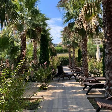 Appartement Im Palmen-Garten